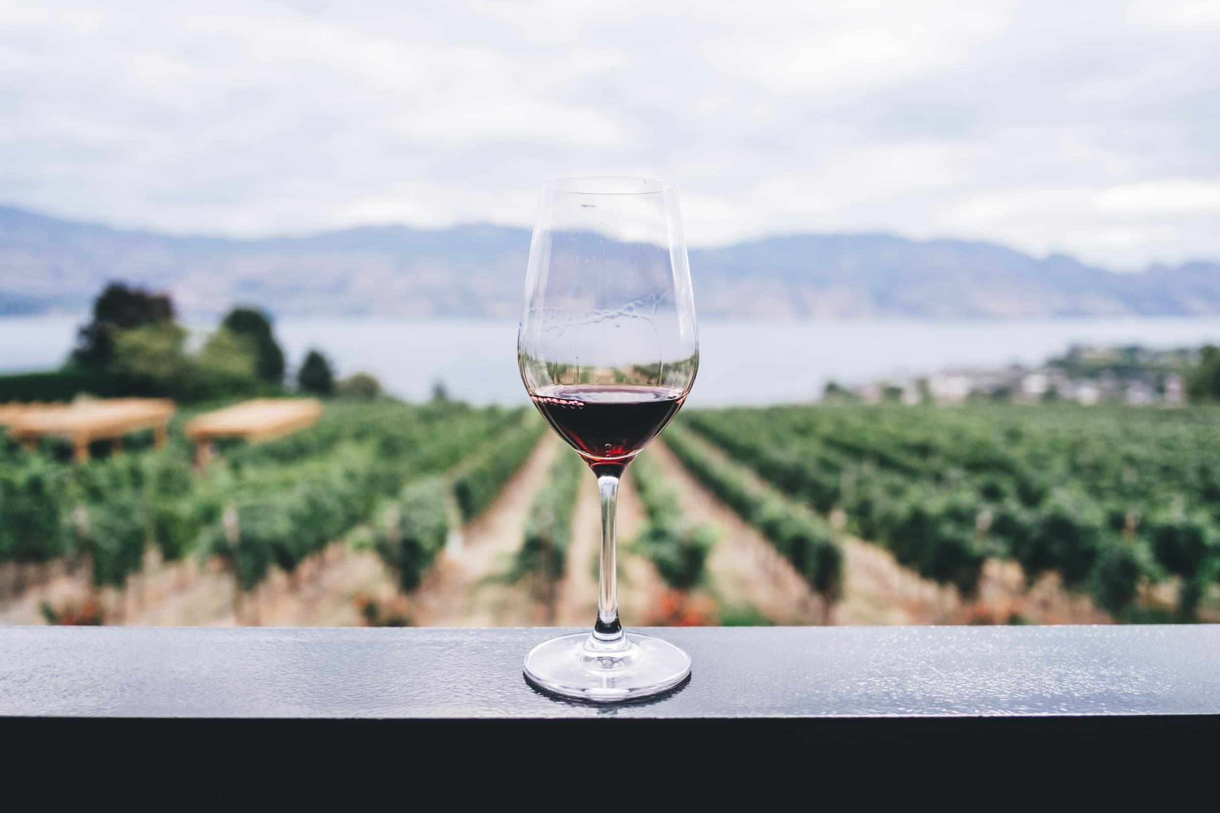 Wine and agriculture — Wine Industry ERP for a Barossa Producer
